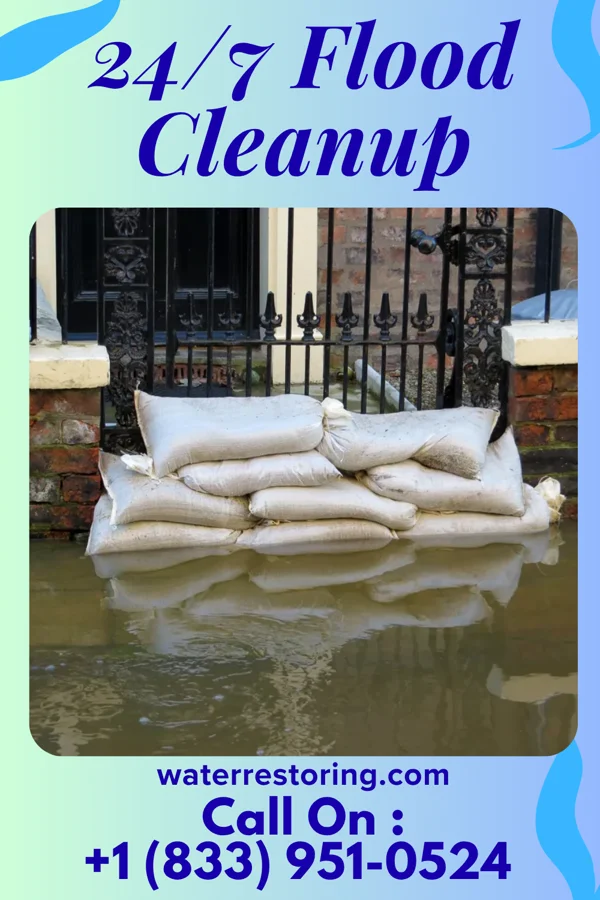 24/7 Flood Cleanup in Belle, WV