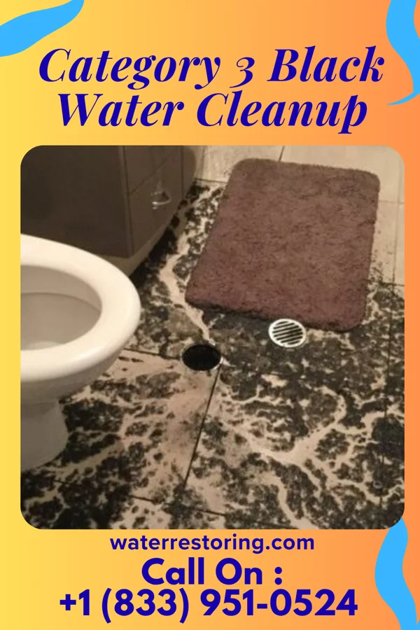 Category 3 Black Water Cleanup in Belle, WV