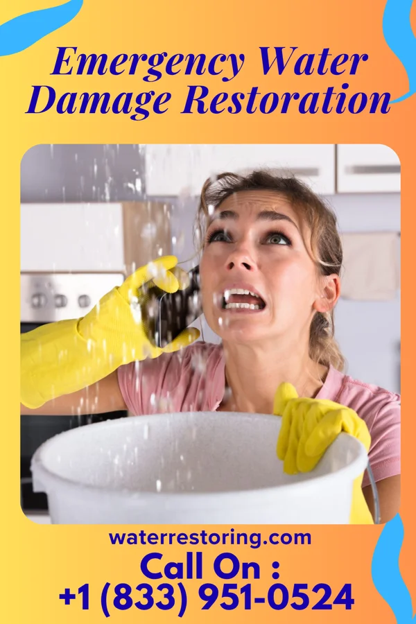 Emergency Water Damage Restoration in Belle, WV