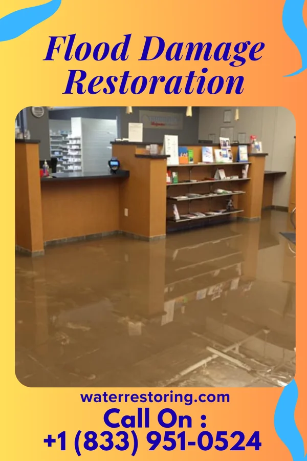 Flood Damage Restoration in Belle, WV