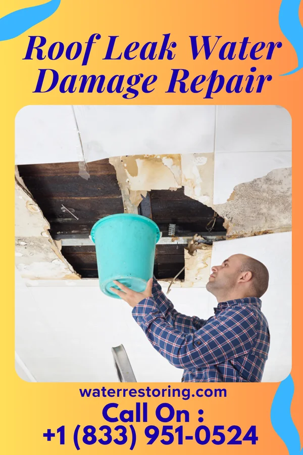Roof Leak Water Damage Repair in Belle, WV