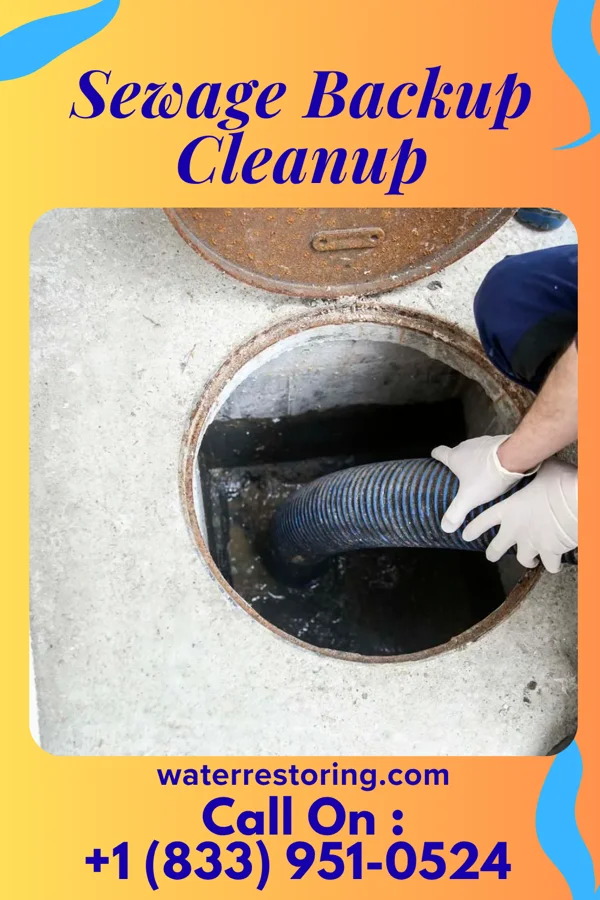 Sewage Backup Cleanup in Belle, WV