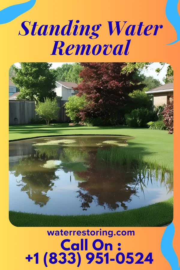 Standing Water Removal in Belle, WV